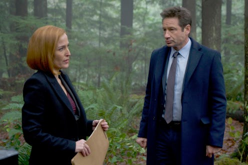 THE X-FILES: Gillian Anderson and David Duchovny in the "Familiar" episode of THE X-FILES airing We...