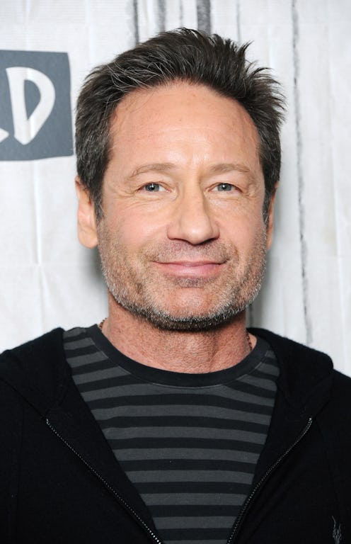 NEW YORK, NY - JANUARY 29:  Singer-songwriter and actor David Duchovny visits Build Sesries to discu...