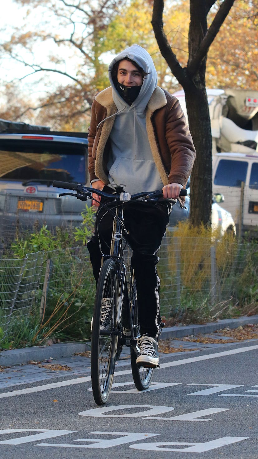 NEW YORK, NY - NOVEMBER 14: Timothee Chalamet takes a bike ride on November 14, 2020 in New York Cit...