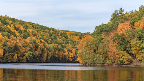 Fall foliage clors in full peak alongside a river with beautiful relections in te river water. Nice ...