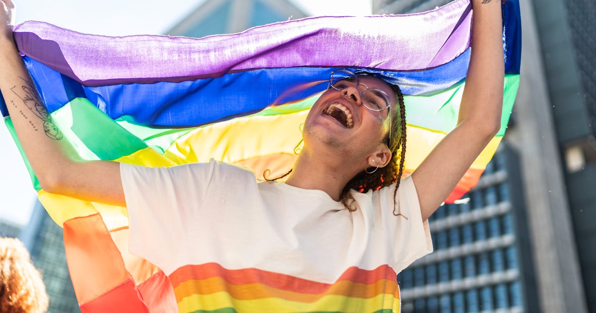 10 Pride Flags Whose Symbolism Everyone Should Know Geeky Craze 10 Pride Flags Whose Symbolism Everyone Should Know Geeky Craze