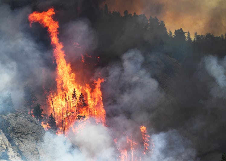 A wildfire burning in the Evergreen area of Jefferson County on July 13, 2020 in Denver, Colorado. 
