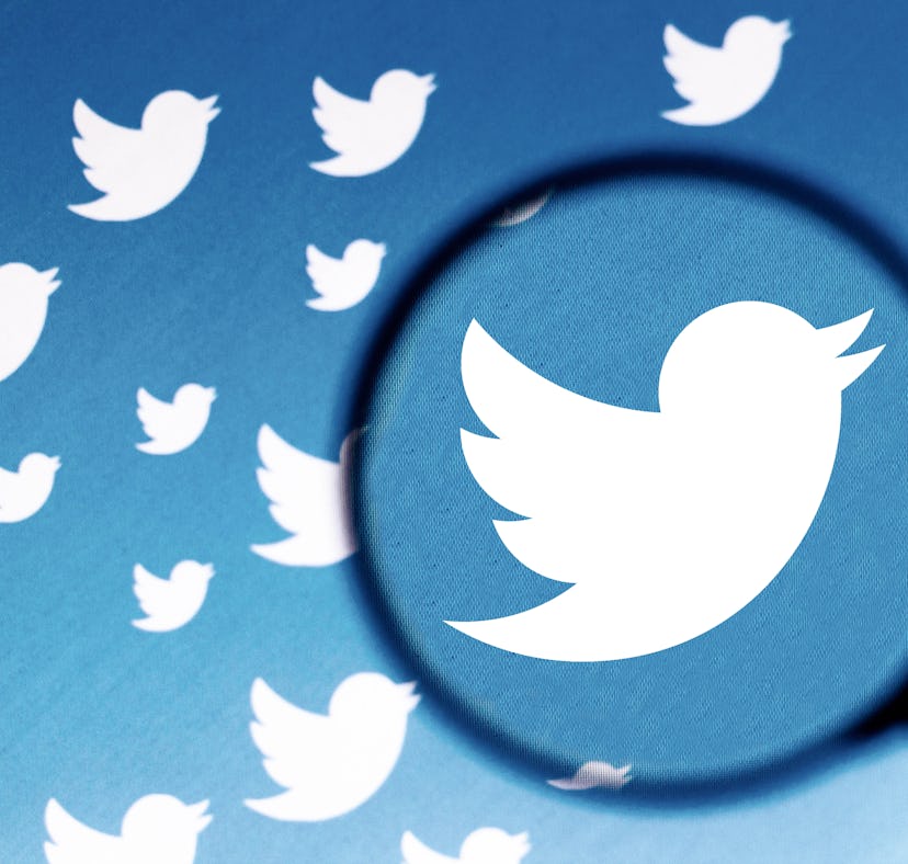BRAZIL - 2021/06/08: In this photo illustration a Twitter logo is seen on a computer screen through ...