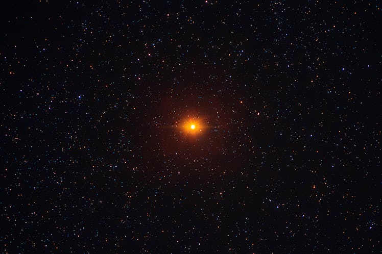 Betelgeuse is a red supergiant and the tenth-brightest star in the night sky. Taken at Natural park ...