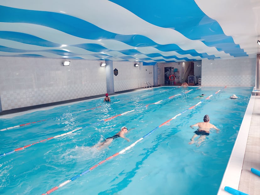 A few swimmers exercise in different lanes of an indoor pool. Swimming is a no-impact form of exerci...