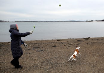 BOSTON - MARCH 3: Emily Niejadlik, 30, of Dorchester throws a ball to her dog, Daisy, as they walk along the beach near Castle Island in South Boston, Mass. on March 3, 2014. (Photo by Jessica Rinaldi/The Boston Globe via Getty Images)
