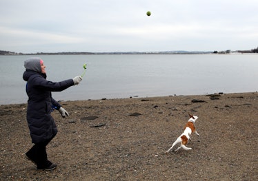BOSTON - MARCH 3: Emily Niejadlik, 30, of Dorchester throws a ball to her dog, Daisy, as they walk a...