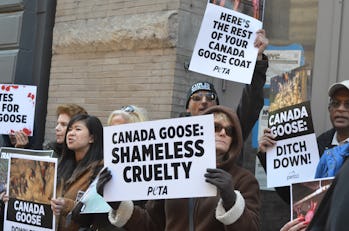 SOHO, MANHATTAN, NEW YORK, UNITED STATES - 2018/10/18: Animal-rights protesters showed up outside th...