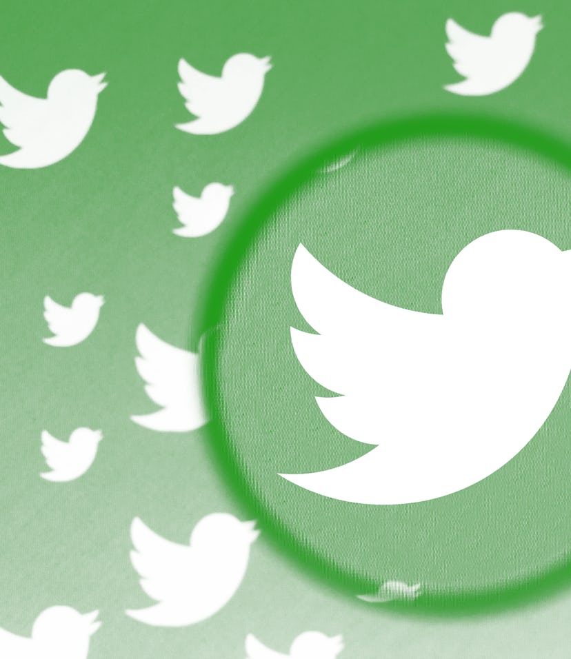 BRAZIL - 2021/06/08: In this photo illustration a Twitter logo is seen on a computer screen through ...