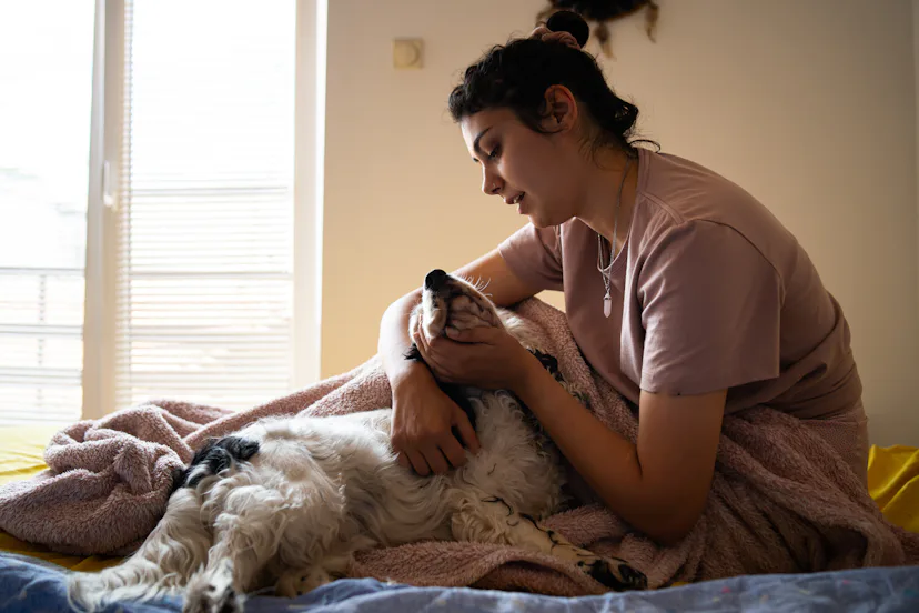 You should feel really good about your relationship with your pup when they curl up with you.