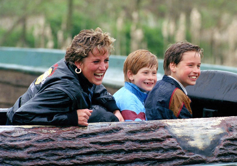 Princess Diana with a young Prince Harry and Prince William at Thorpe Amusement Park.