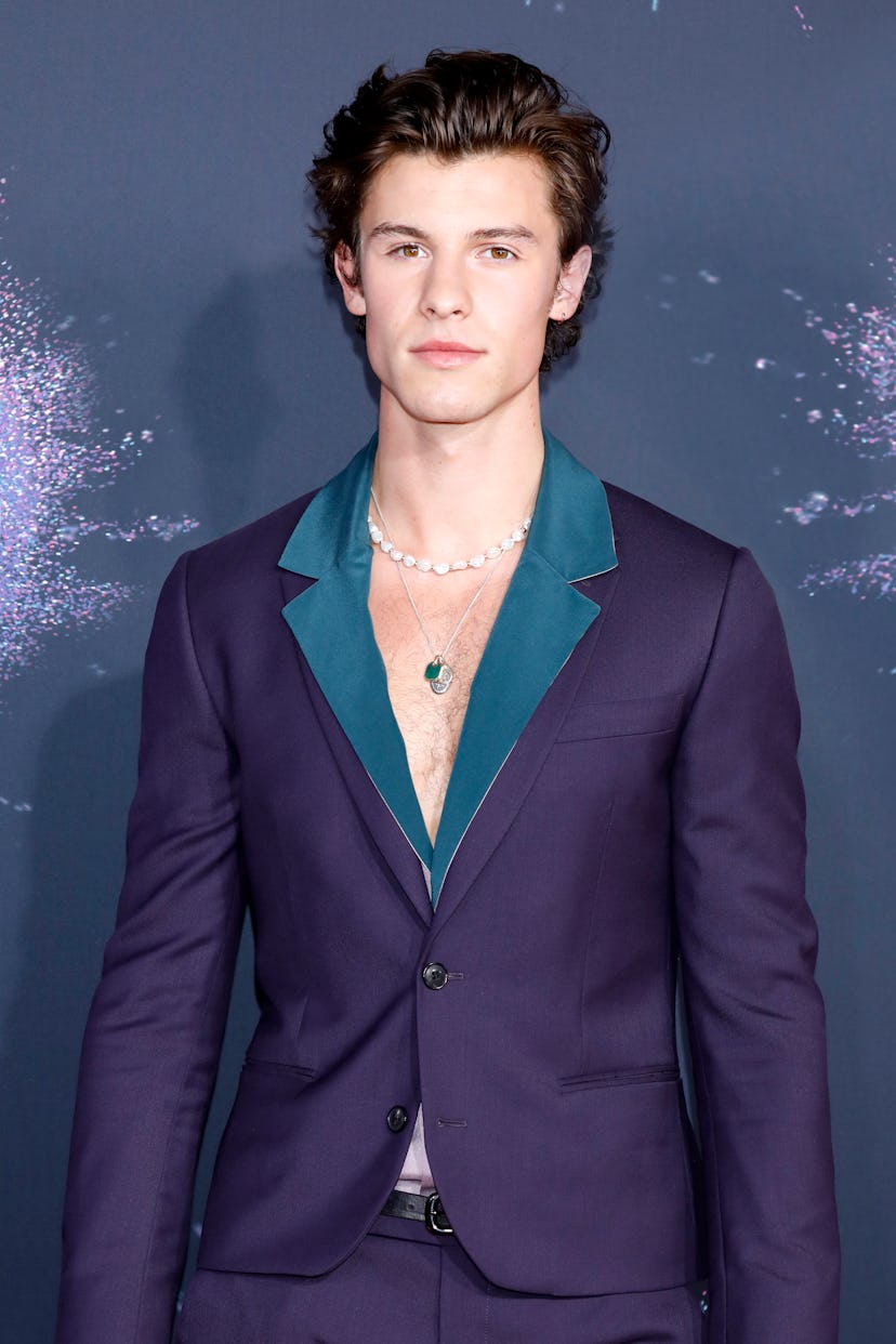 Celebrity Leo Shawn Mendes arrives at American Music Awards.