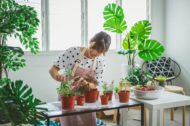 27 Good Instagram Captions Ideas For Plants Because That Monstera Leaf