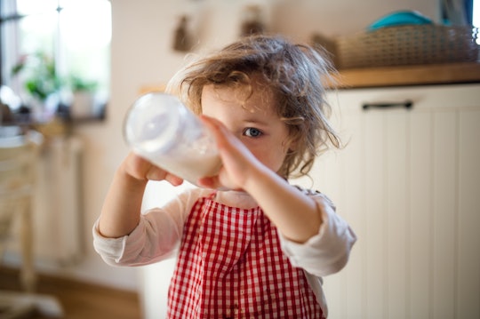 Portrait of small girl indoors in kitchen at home, drinking milk from bottle.