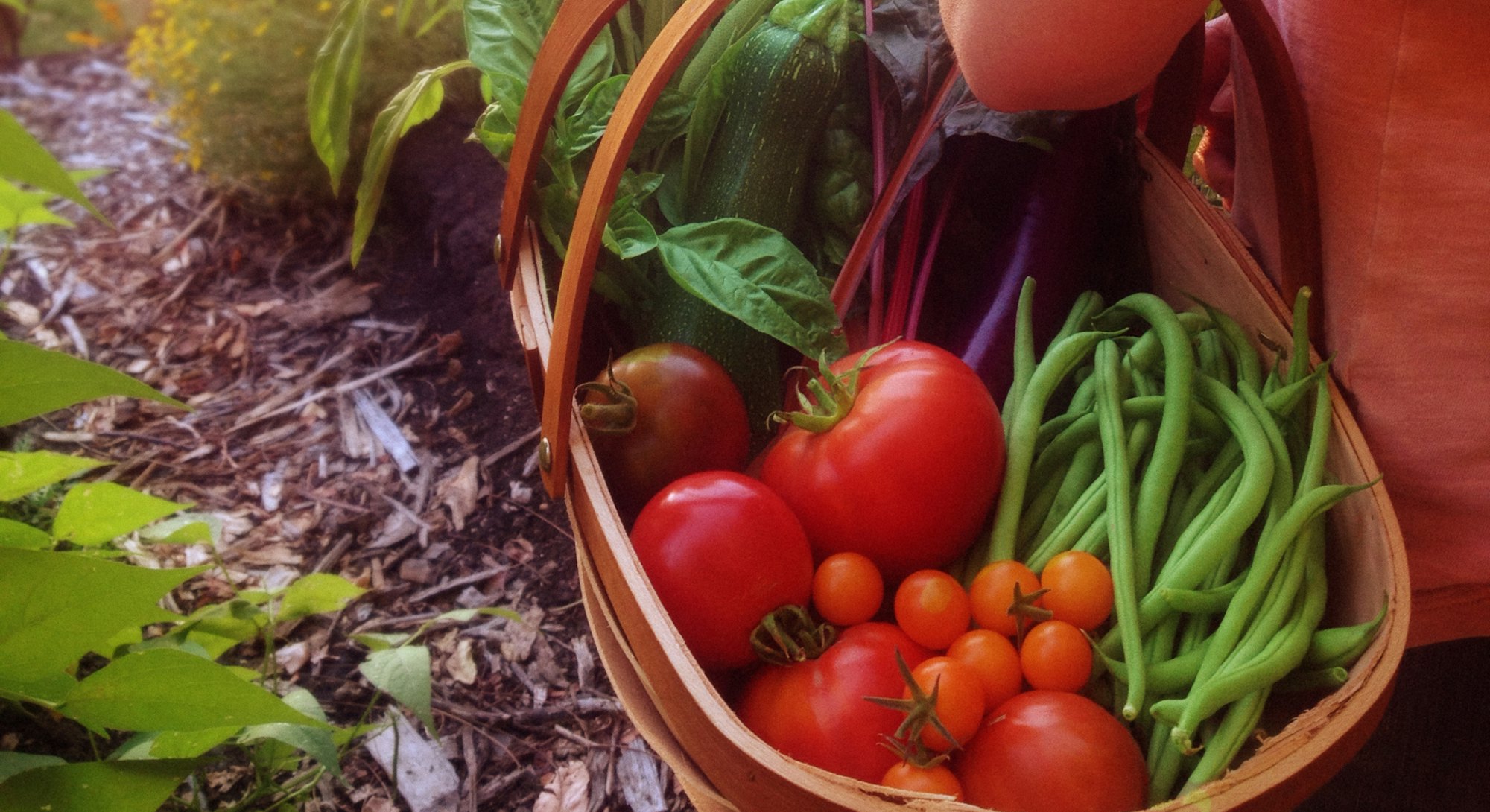 A woman carrying a harvest of vegetables from the garden.