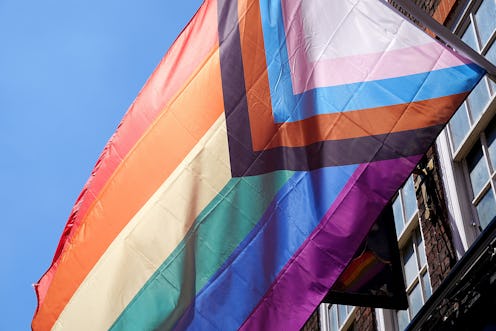 The progress flag flies outside a building. Not all queer identities are L, G, B, or T.