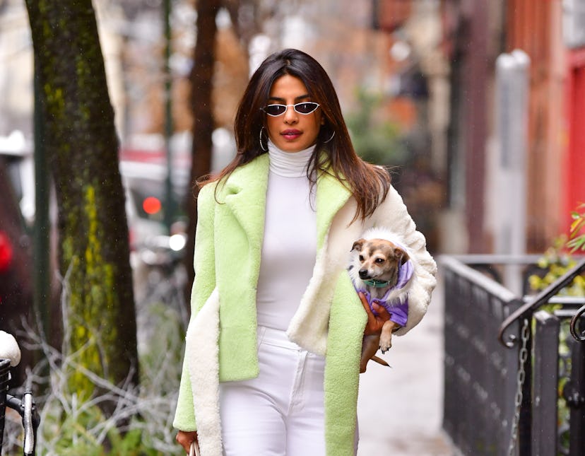 NEW YORK, NY - DECEMBER 16:  Priyanka Chopra seen on the streets of Manhattan on December 16, 2018 i...