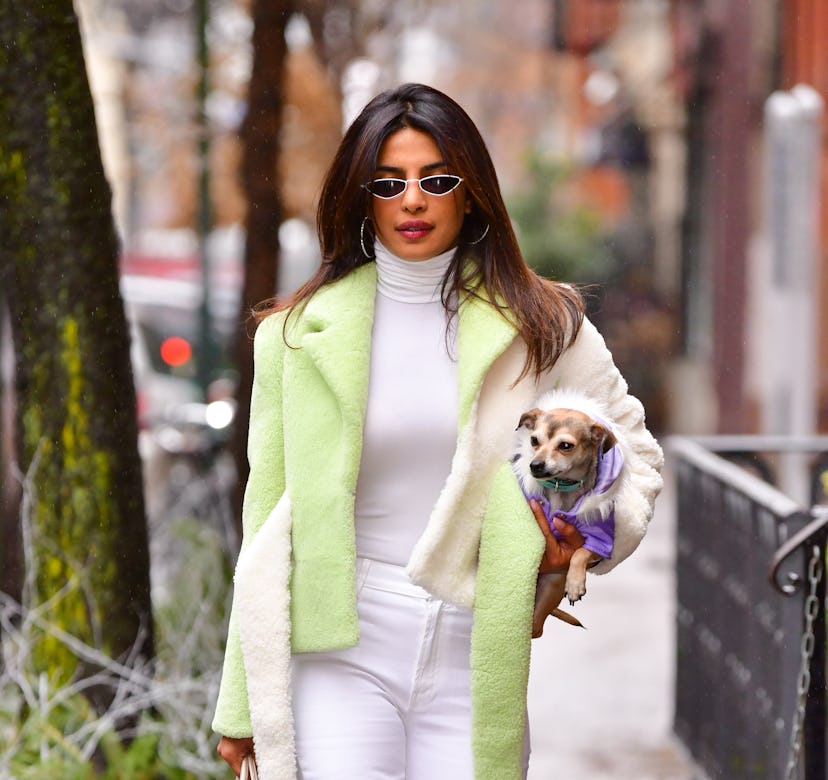 NEW YORK, NY - DECEMBER 16:  Priyanka Chopra seen on the streets of Manhattan on December 16, 2018 i...