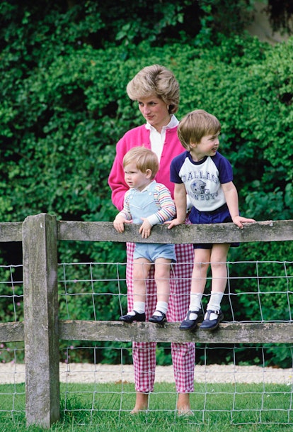  Diana, Princess Of Wales With Her Sons, William And Harry In The Grounds Of Highgrove In Tetbry, Gl...