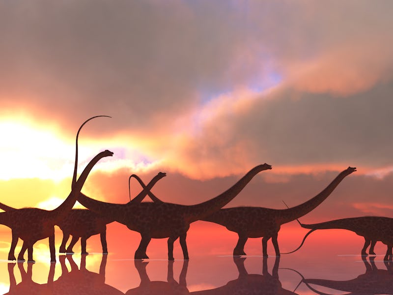 A Diplodocus dinosaur herd wades through shallow water on a lake that reflects their shadows and clo...