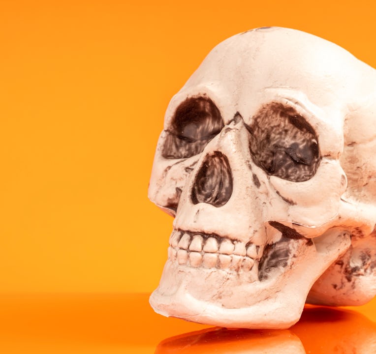 Artificial human skull.