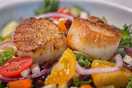 Eating scallops during pregnancy just requires a little cooking first.