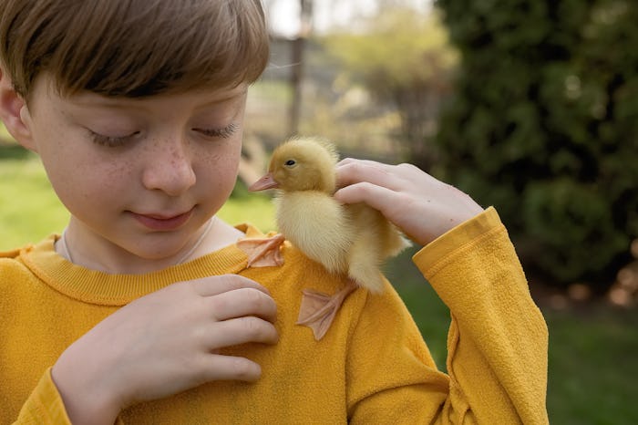 portrait of boy with duckling on shoulder