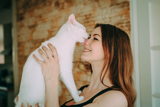 a woman holding up her cat, who is affectionately biting her nose