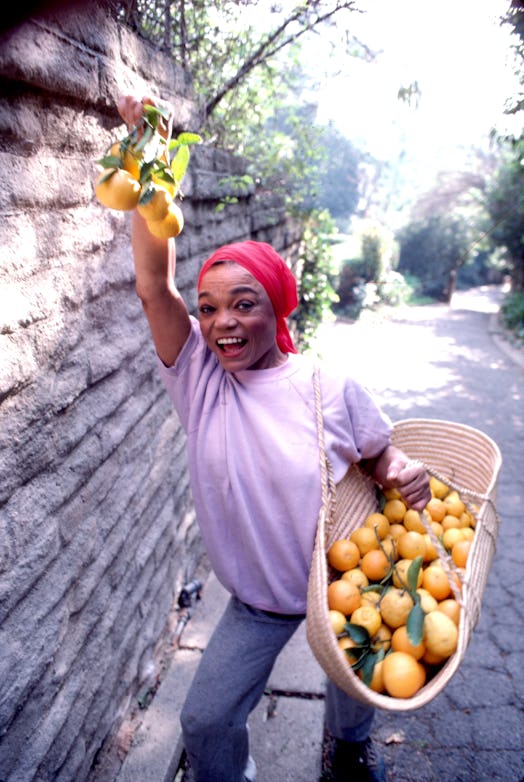 Eartha Kitt picks fruit in Beverly Hills 
