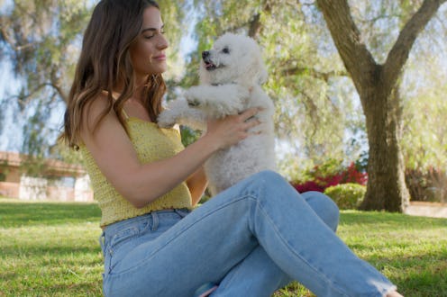 Dog-friendly public places you may not know about