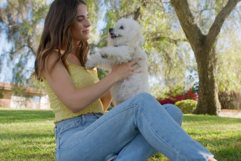 Is Michaels Pet Friendly?