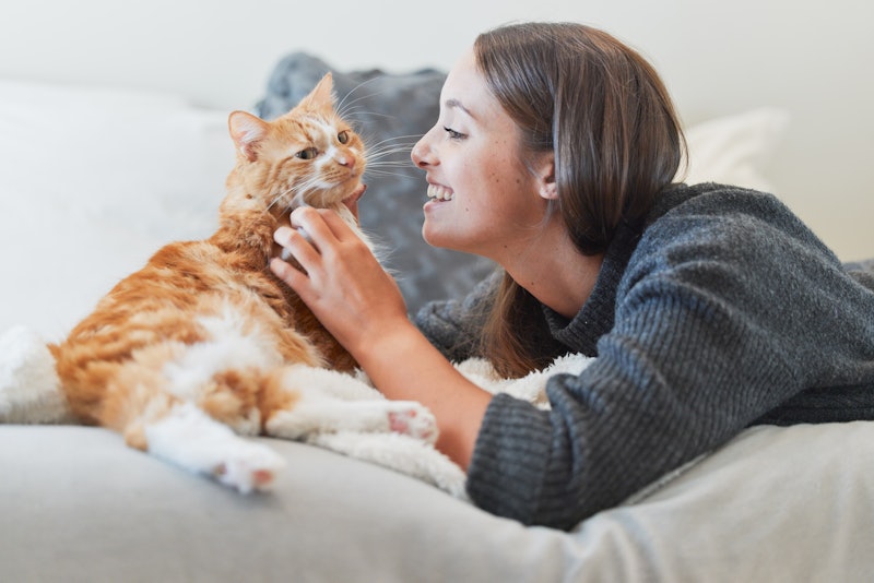 3 Ways To Tell If Your Cat Misses You While You’re Away