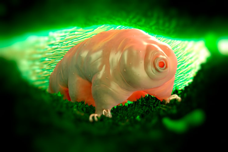 Waterbear, computer artwork.