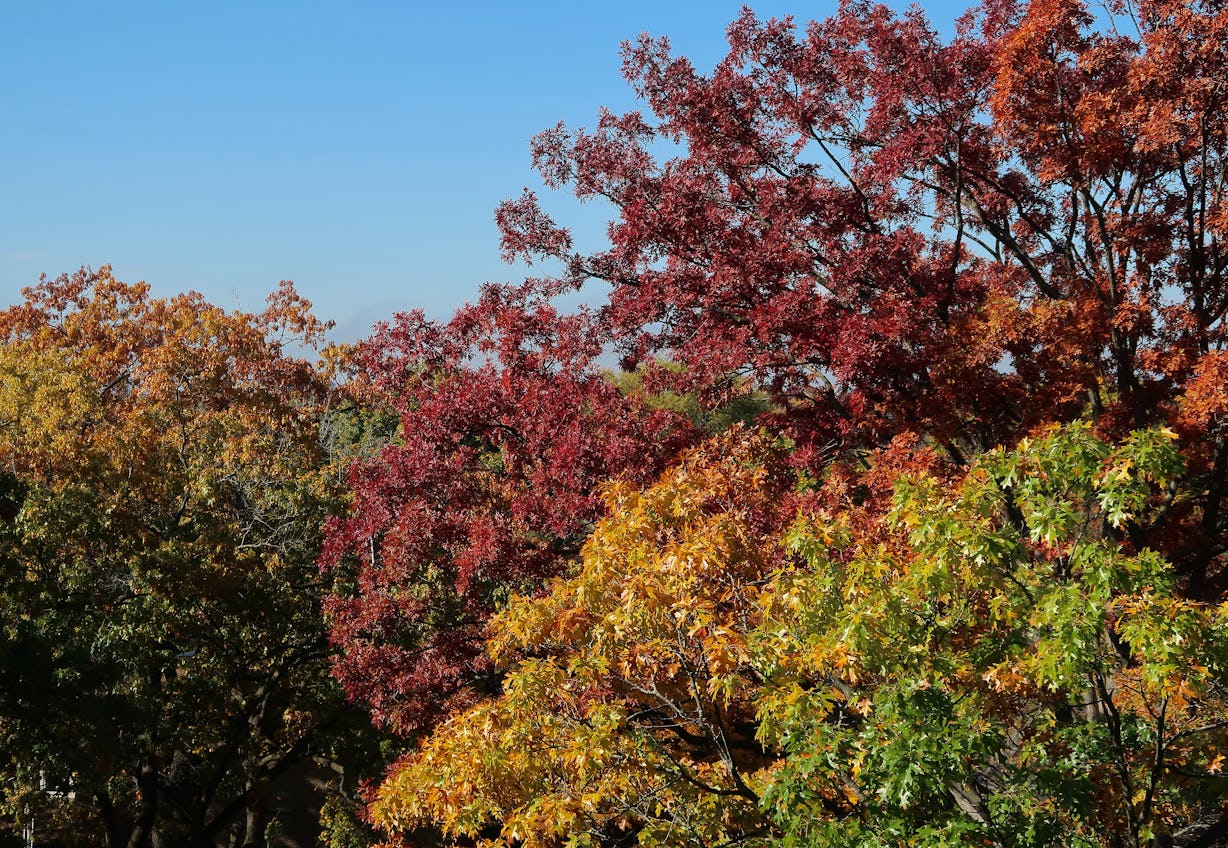 20 Reasons To Look Forward To Fall (And Feel Less Sad About The End Of ...