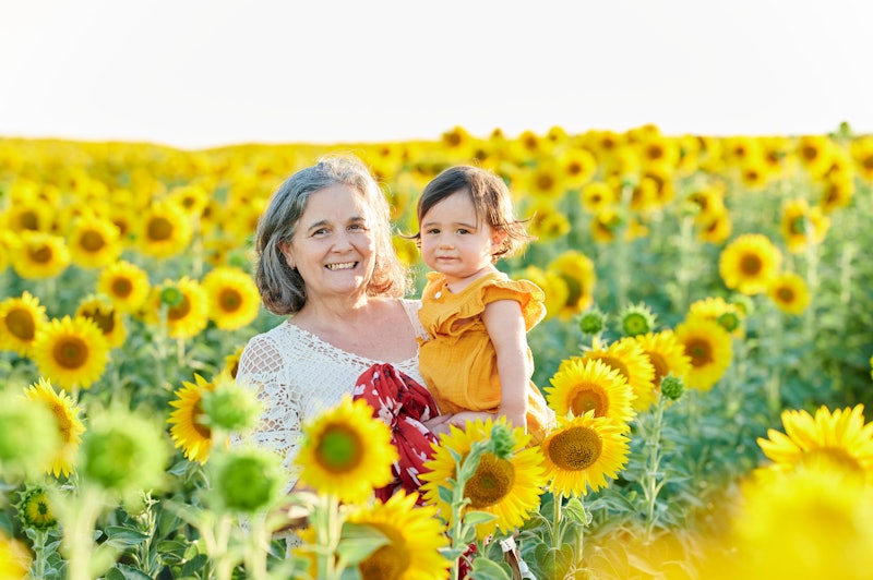 Grandmother with granddaughter in the field of sunflowers