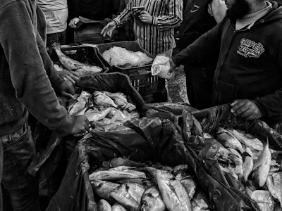 Alexandria Egypt, November 22, 2017: people attending the morning auction at the fish market in Alex...