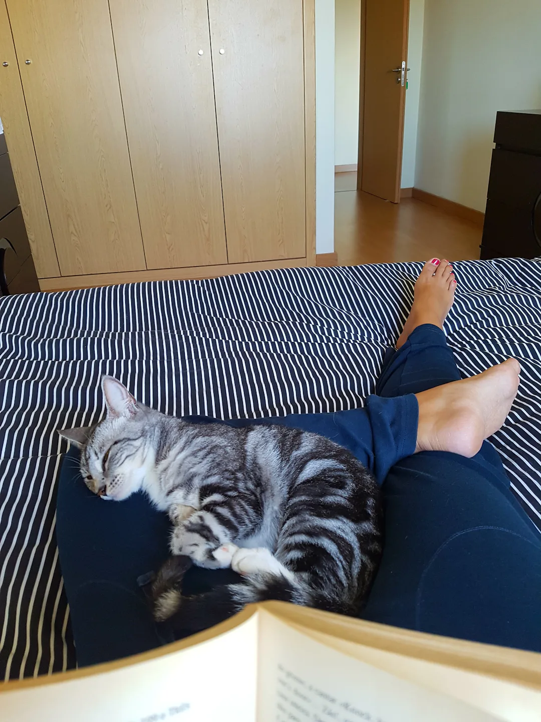 Why Does My Cat Sleep Between My Legs Experts Explain