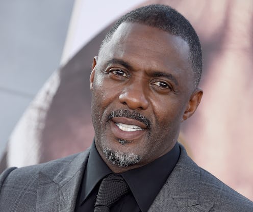 HOLLYWOOD, CA - JULY 13: Idris Elba arrives at the Premiere Of Universal Pictures' "Fast & Furious ...