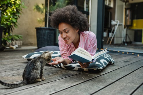 13 Signs Your Cat Has Anxiety & What You Can Do About It