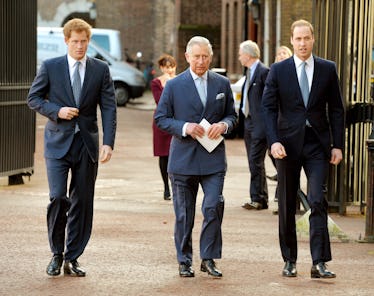 LONDON, ENGLAND - FEBRUARY 13: (L-R) Prince Harry, Prince Charles, Prince of Wales and Prince Willi...