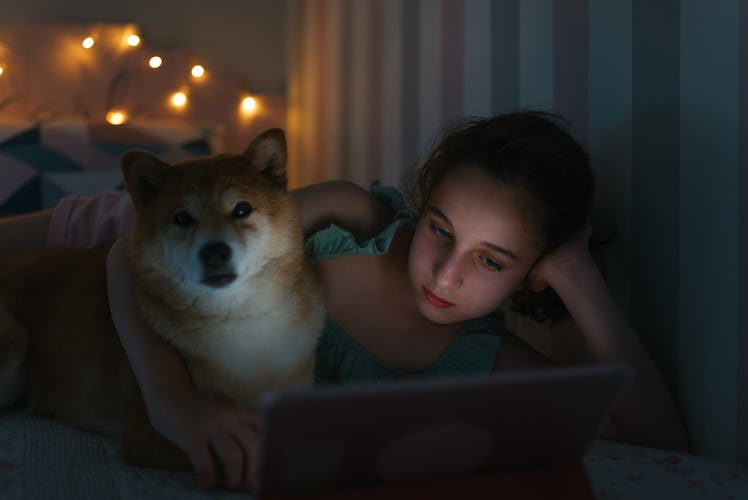 Close up view of a girl lying on her bed watching a movie next to her Shiba Inu breed dog on her dig...
