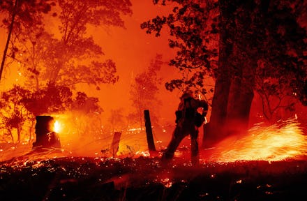 A firefighter works the line as flames push towards homes during the Creek fire in the Cascadel Wood...