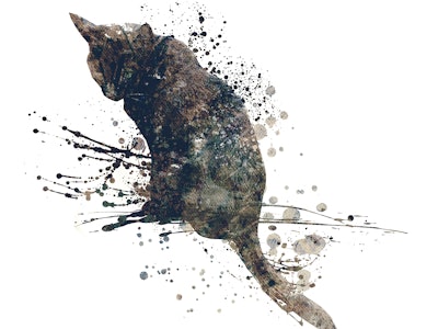 Black cat illustration oj white background
