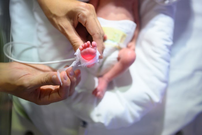 From above crop person holding small foot of sick tiny baby in NICU
