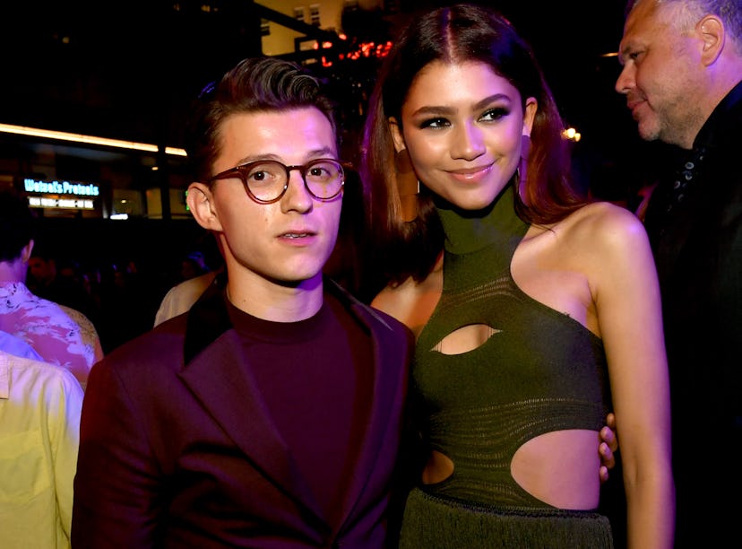 Tom Holland and Zendaya are reportedly a good match