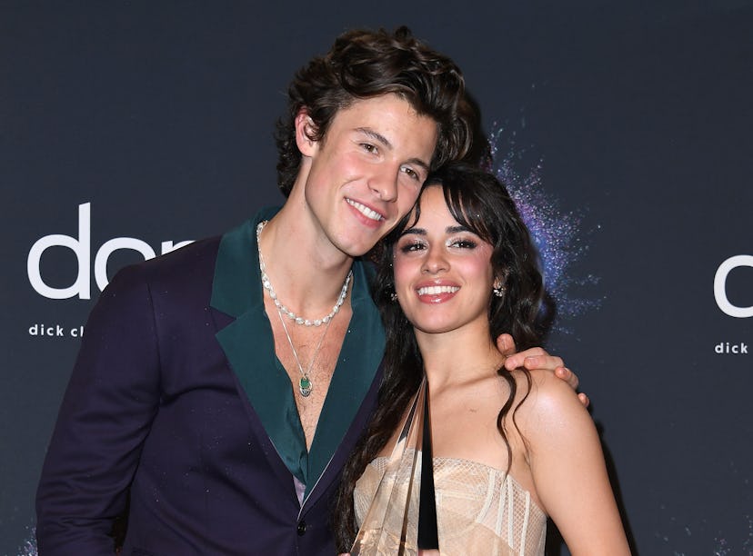 Camila Cabello trolled Shawn Mendes on TikTok.