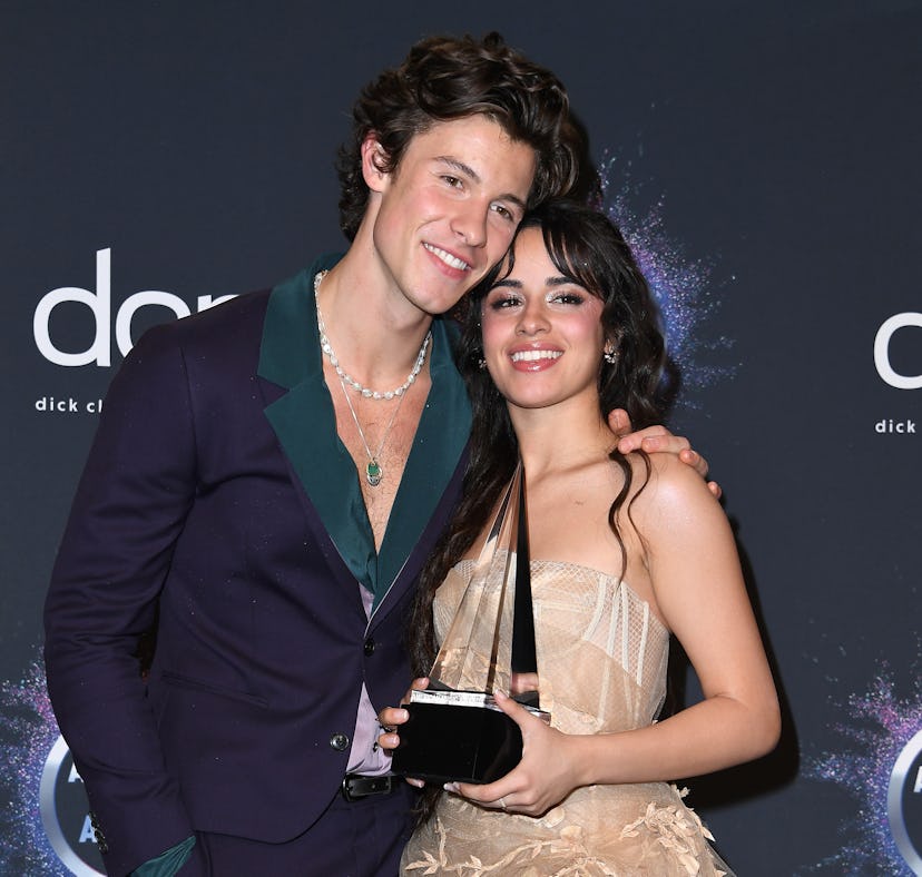 Camila Cabello trolled Shawn Mendes on TikTok.