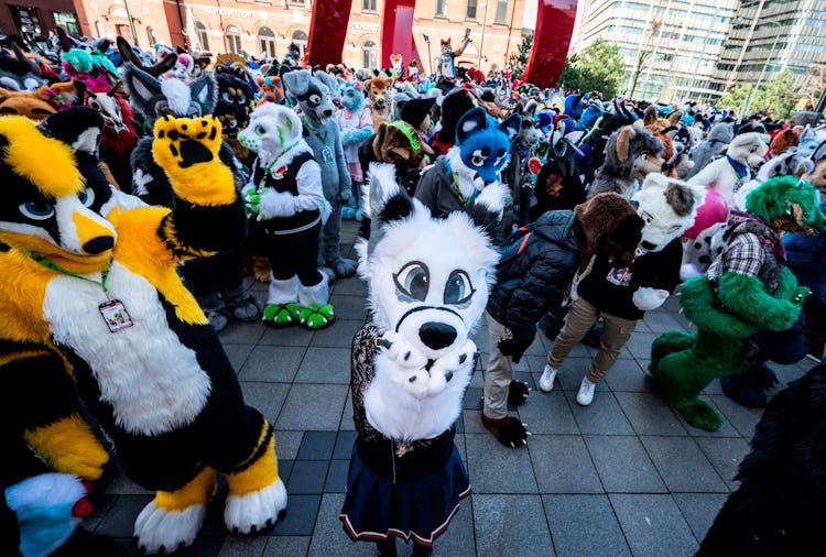Revellers dressed as animals take part in a fuzzcon parade on February 21, 2020, in Malmo, Sweden, w...