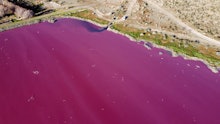 Aerial view of a lagoon that turned pink due to a chemical used to help shrimp conservation in fishi...