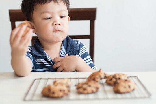 a little boy eating chocolate chip cookies